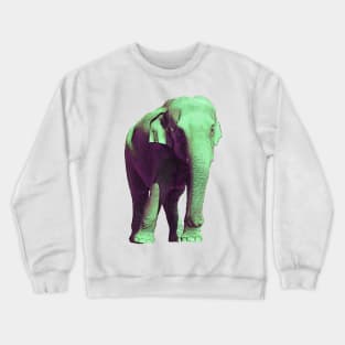 Fat Tuesday Elephant Crewneck Sweatshirt